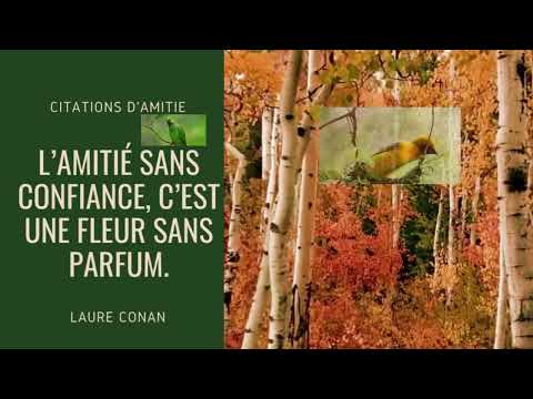 Citation positive sur l'amitié et la confiance
