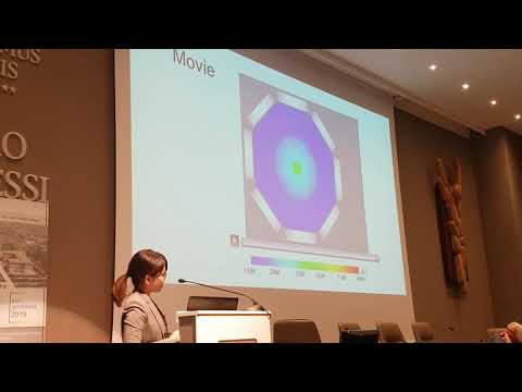 ICCF22 - Konagaya 02 - Super computer simulation of FUSINE reactor - Italy 2019