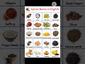 Indian Spices Glossary Of Indian Spices Name In English Shorts