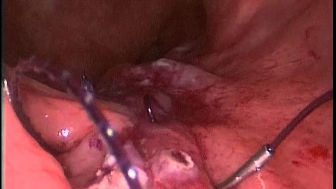 Daniel Camacho Mauries-8