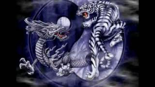 Asian Pride - Got Rice Bitch?