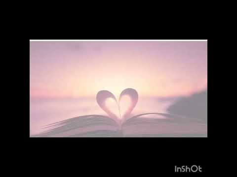 Amici 93 - Holden - Solo noi