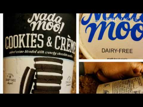 Nada Moo non-dairy ice cream  review /vegan  treat