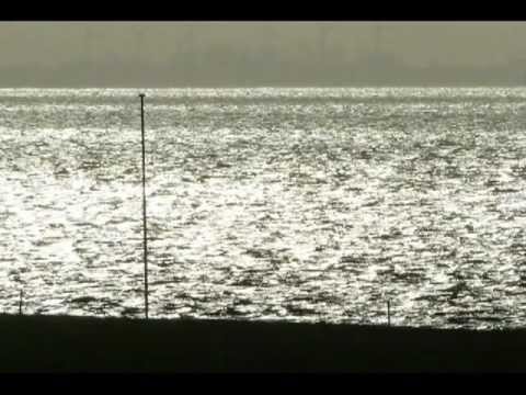 Ausflug nach Weddewarden, Imsum und Wremen - Containerbrücken, Ochsenturm, Kutterhafen