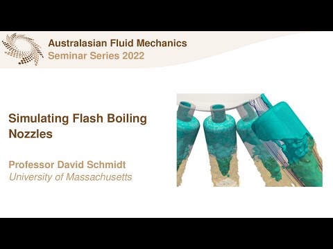 AFMS Webinar 2022 #15 - Professor David Schmidt (University of Massachusetts)