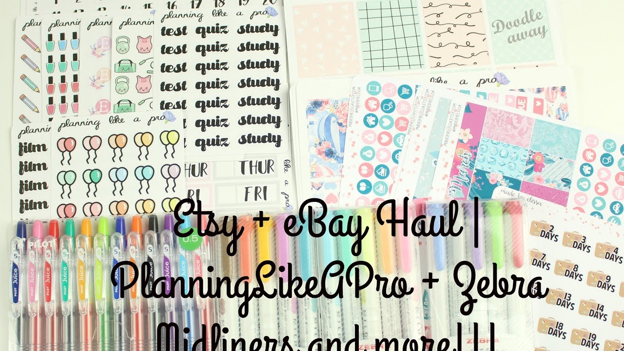 Etsy + eBay Haul // PlanningLikeAPro + Midliners and more!