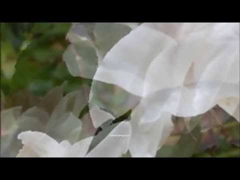 Chris Isaac - Besame Mucho (HQ)