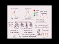 Walk Cycle Tutorial - Bipeds #animation