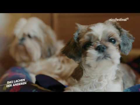 Das Lachen der Anderen: Tierliebhaber ARD Doku in Einsfestival