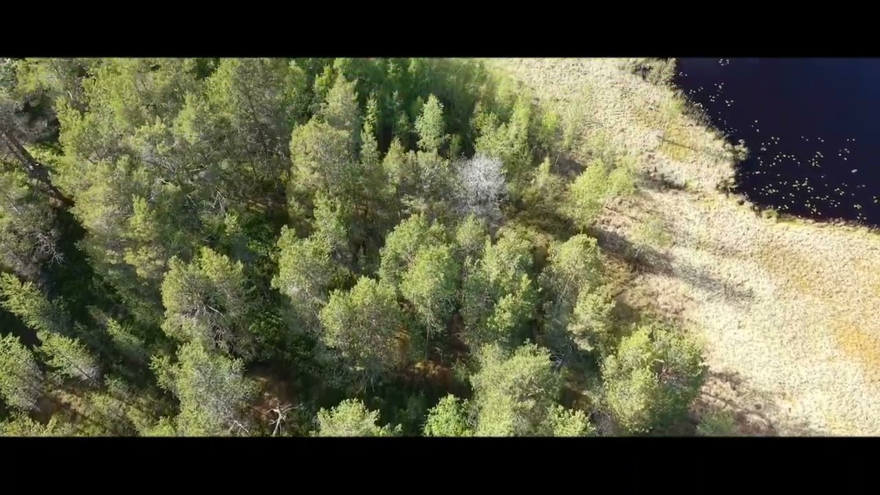 7 rum Villa på Lövnäsvägen 55 Lövnäs Älvdalens kommun - video