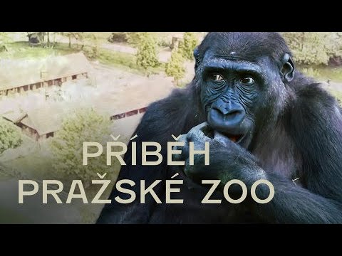 Příběh pražské zoo