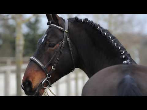 Etalon Safran Landai PFS