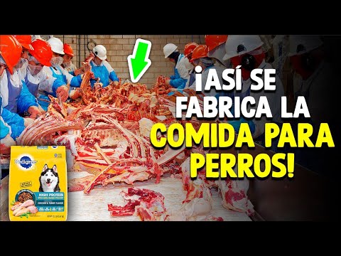 How Is Dog Food Made? [Factory Process]