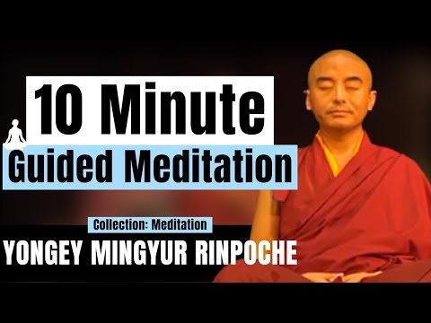 10 Minute Guided Meditation for Beginners on Awareness - Yongey Mingyur Rinpoche | LSE 2018【C:M Ep5】