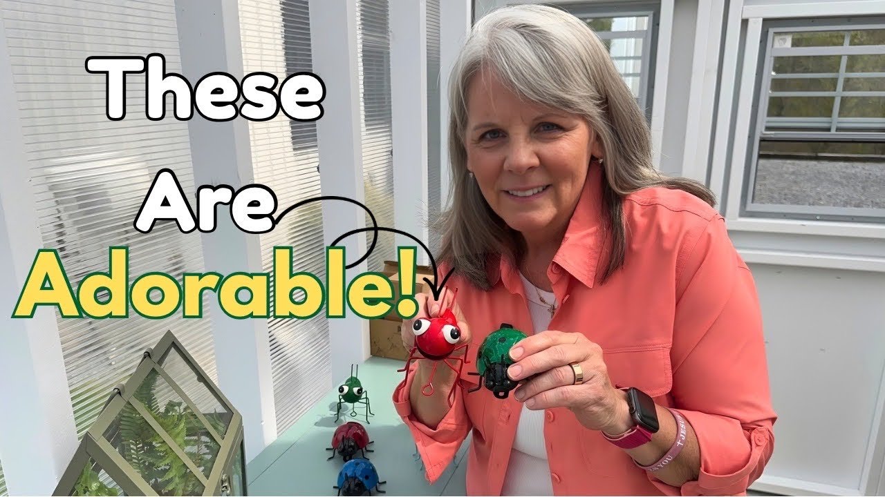 Cute Garden Ornaments 🐞 Turned Into A Fun Garden Game! 