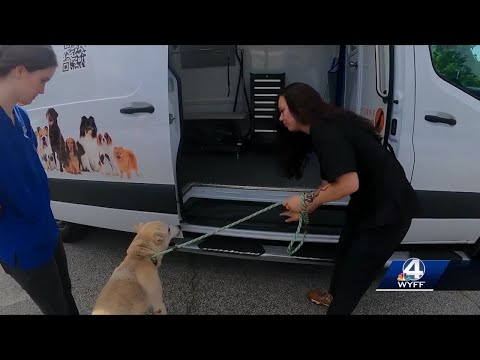 Free dog grooming tour set to make stop in the Upstate next month