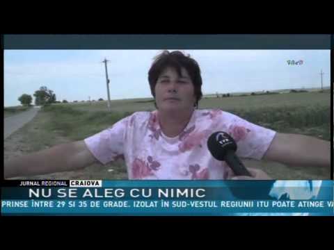 NU SE ALEG CU NIMIC