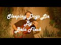 Sleeping Dogs Lie -  Béla Fleck (finger style cover) ELZEN - ELZEN Sleeping Dogs Lie -  Béla Fleck (finger style cover) ELZEN