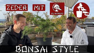 Erstgestaltung meiner Zeder und Besuch bei JG-Bonsai | Zeder (Cedrus deodara) | #043 Bonsai Style