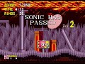 Sonic The Hedgehog Amy Rose Hack