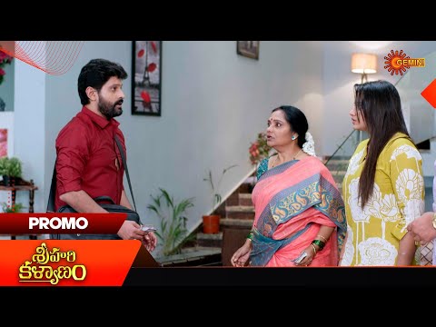 Sri Hari Kalyanam  - Promo | 25 Nov 2025 | Telugu Serial | Gemini TV