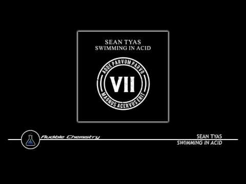 Sean Tyas - Swimming In Acid (Original Mix)