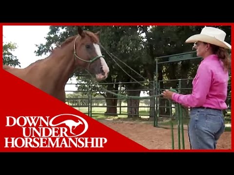 Clinton Anderson: More Horse Than Handle, Part 1 - Downunder Horsemanship