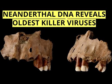 Oldest Human Viruses EVER Discovered In Ancient Neanderthal DNA