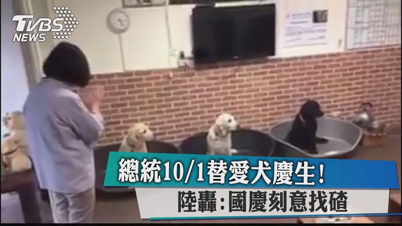 總統10/1替愛犬慶生！　陸轟：國慶刻意找碴