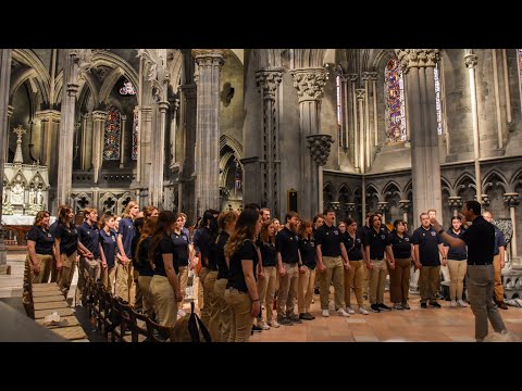 Nordic Choir 2024 Norway Tour: Student Perspectives