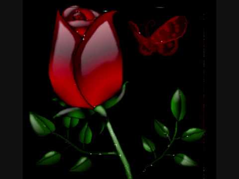 Qarizma & Ümit Tanyildiz   Bölemi Olucakti