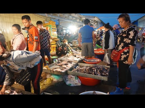 Prek Phnov Very Big Fish Market - Early Morning Daily Life Style of Vendors Selling Fish, Sea Food