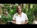 Biosphere 2 Introduction Video - Biosphere 2 Biosphere 2 Introduction Video