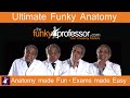 Anatomy made Fun.  Exams made Easy with The Funky Professor, Vishy Mahadevan, RCSEng