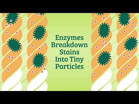 How Biokleen Bac Out Works