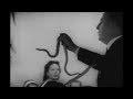 Brian Eno - Put A Straw Under Baby - ZyxSync Brian Eno - Put A Straw Under Baby
