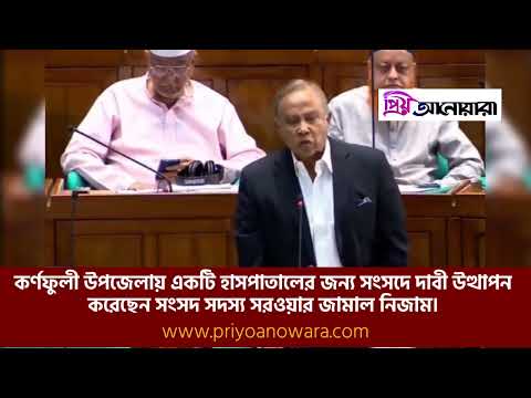 সংসদে কর্ণফুলীর জন্য একটি হাসপাতালের দাবী এমপি নিজামের