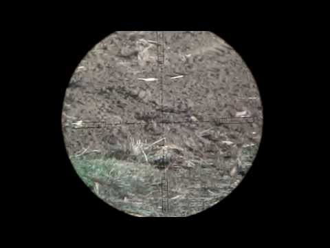 Benjamin Marauder .22 Air Rifle - Part 2 - 110 Yards Scopecam