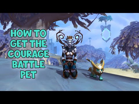 WoW Shadowlands - How To Get The Courage Battle Pet | Bastion
