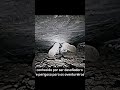 EXPLORADOR QUE NÃO PÔDE SER SALVO Caso De John Edward Jones Shorts