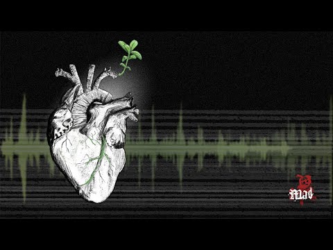 STWN - 065 Mutual Trust
