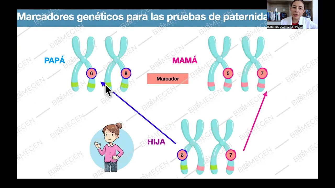 ¿Qué analizamos en las Pruebas de Paternidad?