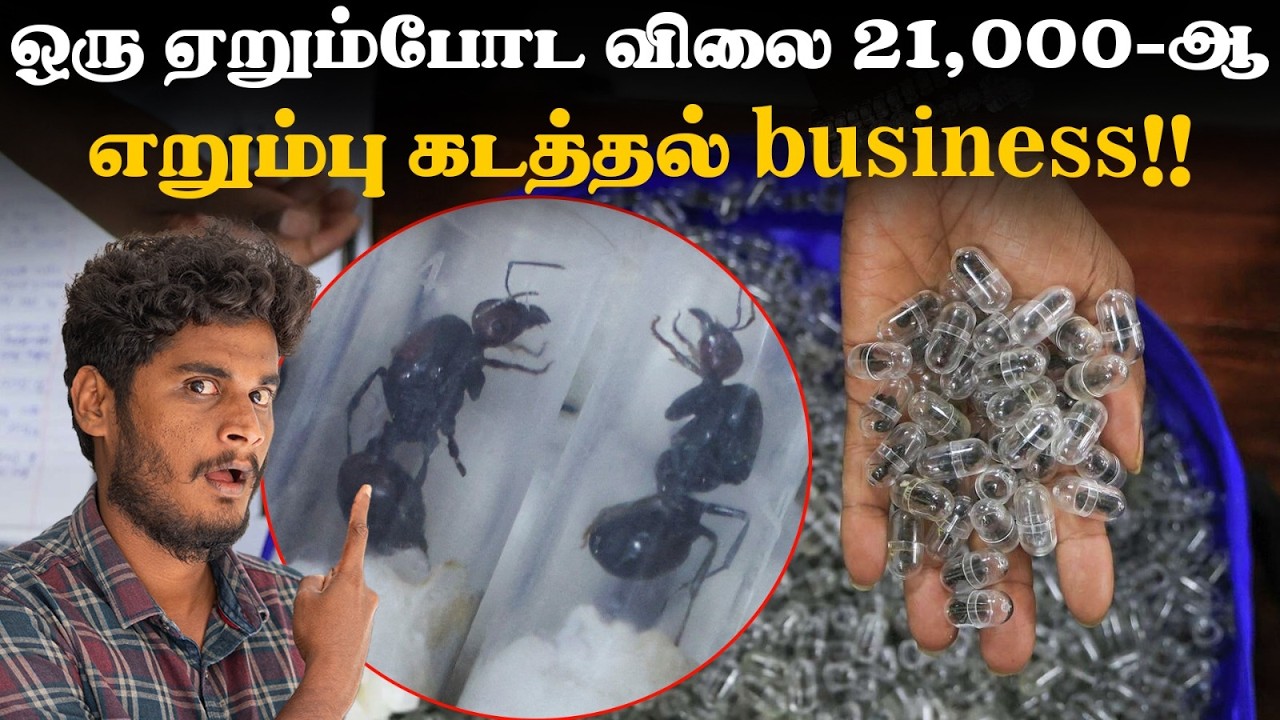 😱😱எறும்போட இந்த விஷயத்துக்கு இவ்ளோ மதிப்பா? - கொடி க