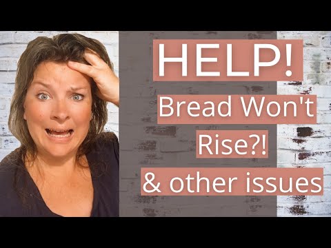 4 Common Bread Baking Problems & How to Fix Them | Bread Not Rising | Bread Falls | Bread Fails Help