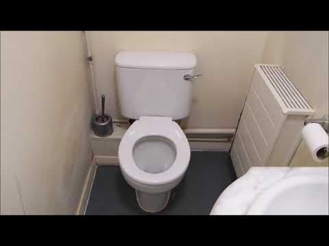 Independent Damp Surveys to Assess Rising Damp