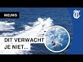 Drugssmokkelaars krijgen stank voor dank