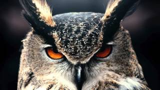 Charlie Sloth ft. Stormzy, Jadakiss & JMC - Look Like