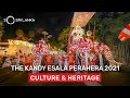 The Kandy Esala Perahera So Sri Lanka