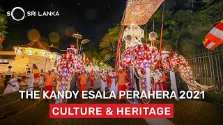 The Kandy Esala Perahera  So Sri Lanka