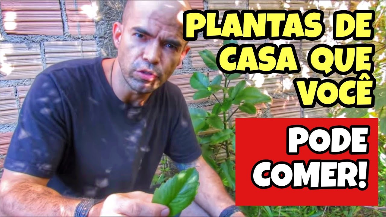 PLANTAS ALIMENTÍCIAS NÃO CONVENCIONAS | PANC'S